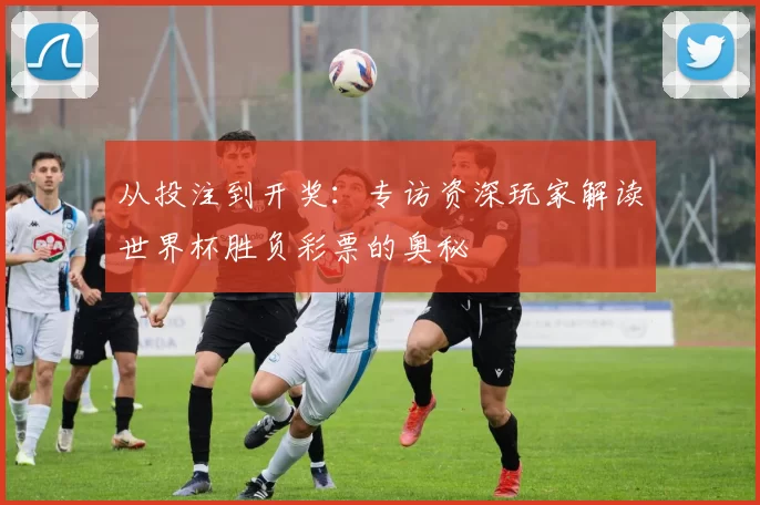 从投注到开奖：专访资深玩家解读世界杯胜负彩票的奥秘