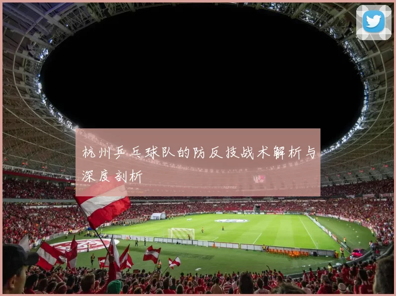 杭州乒乓球队的防反技战术解析与深度剖析