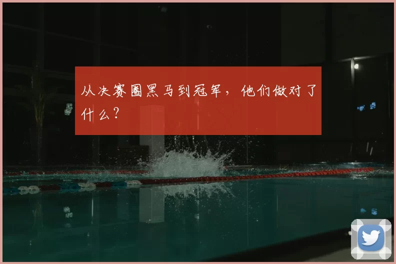 从决赛圈黑马到冠军,他们做对了什么?