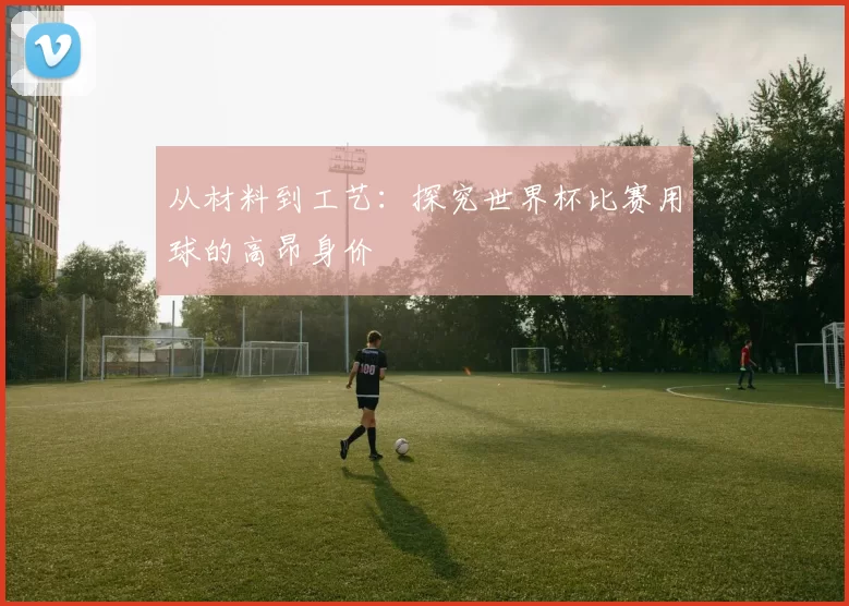 从材料到工艺：探究世界杯比赛用球的高昂身价