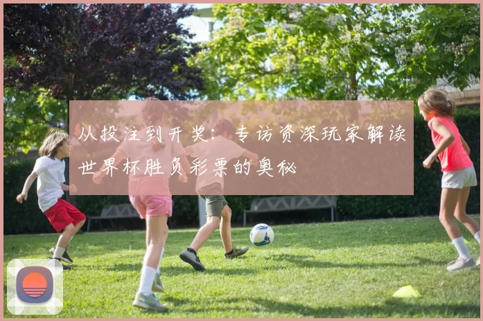 从投注到开奖：专访资深玩家解读世界杯胜负彩票的奥秘