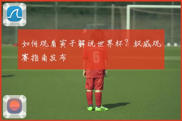 如何观看寅子解说世界杯？权威观赛指南发布