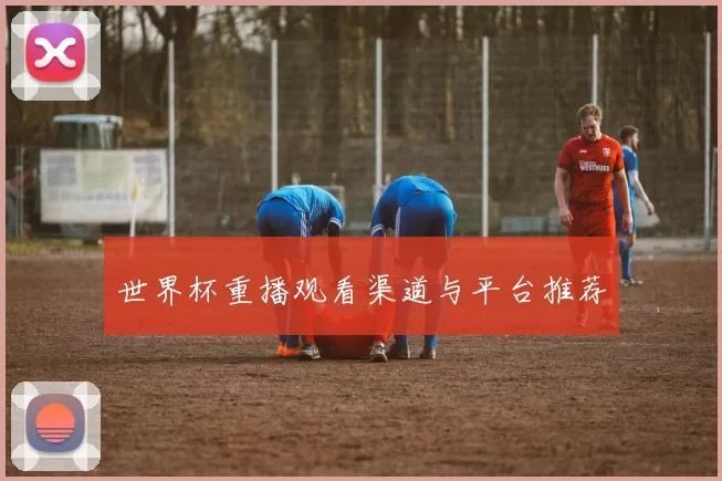 世界杯重播观看渠道与平台推荐