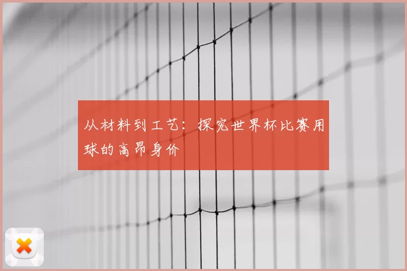 从材料到工艺：探究世界杯比赛用球的高昂身价