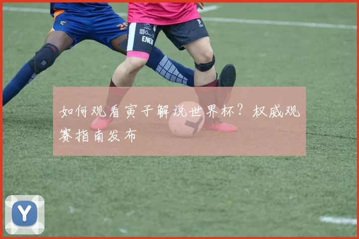 如何观看寅子解说世界杯？权威观赛指南发布