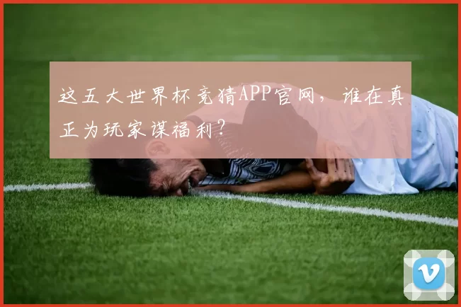 这五大世界杯竞猜APP官网，谁在真正为玩家谋福利？