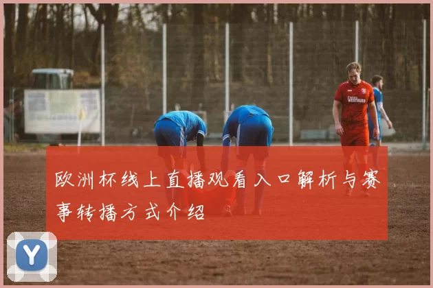 欧洲杯线上直播观看入口解析与赛事转播方式介绍