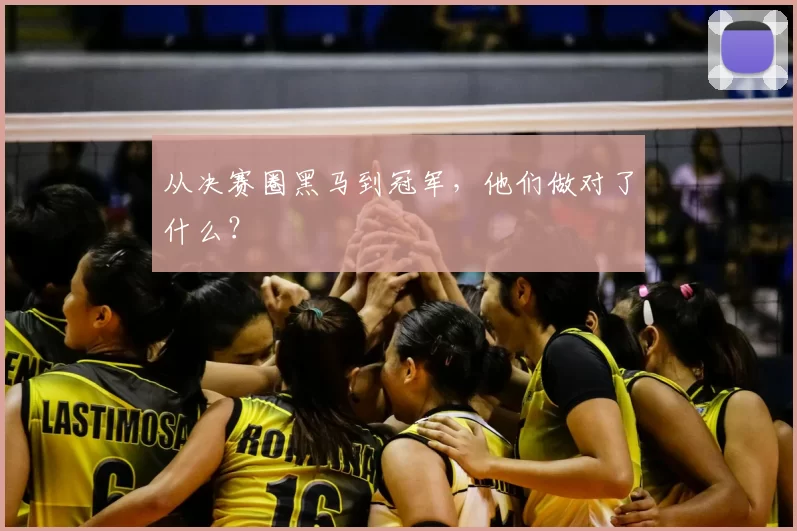 从决赛圈黑马到冠军,他们做对了什么?